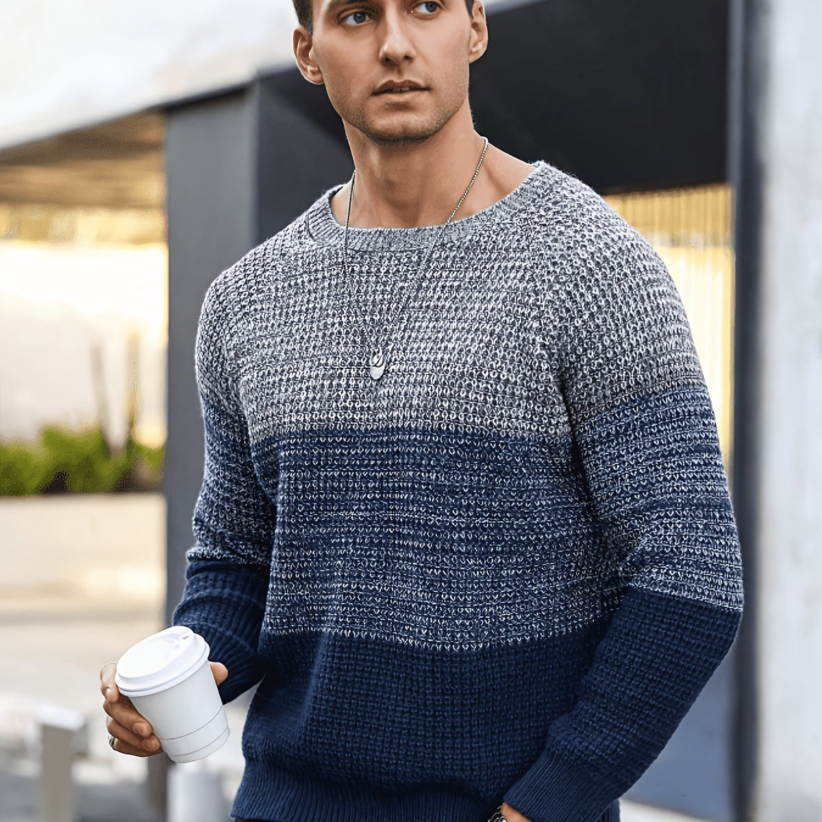 Color Block Crewneck Sweater