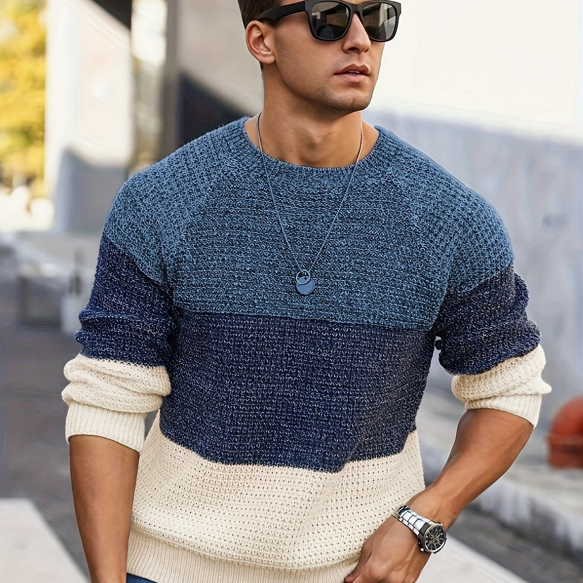 Color Block Crewneck Sweater